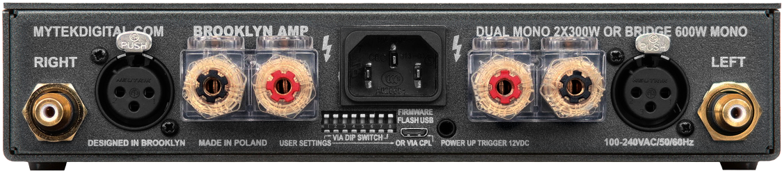 Mytek Digital Brooklyn AMP.