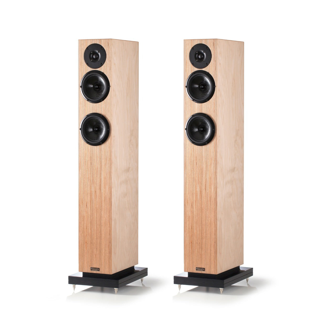 Penaudio Talvi.