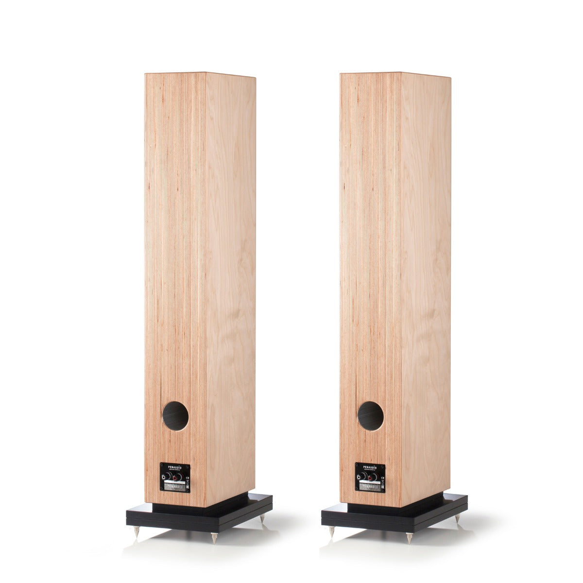 Penaudio Talvi.
