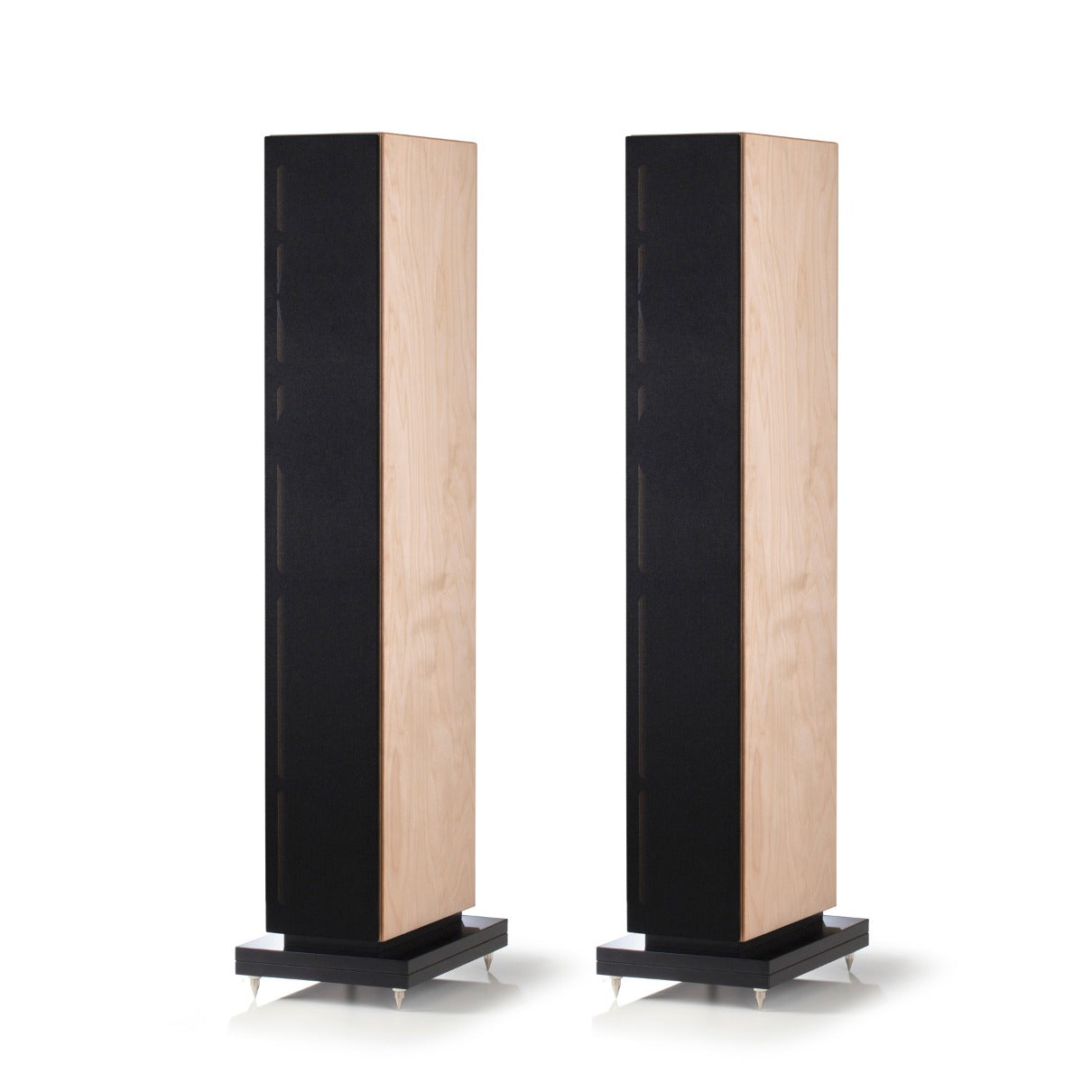 Penaudio Talvi.