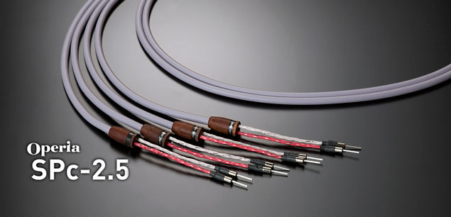 Kondo Audio Note Operia SPc-2.5.