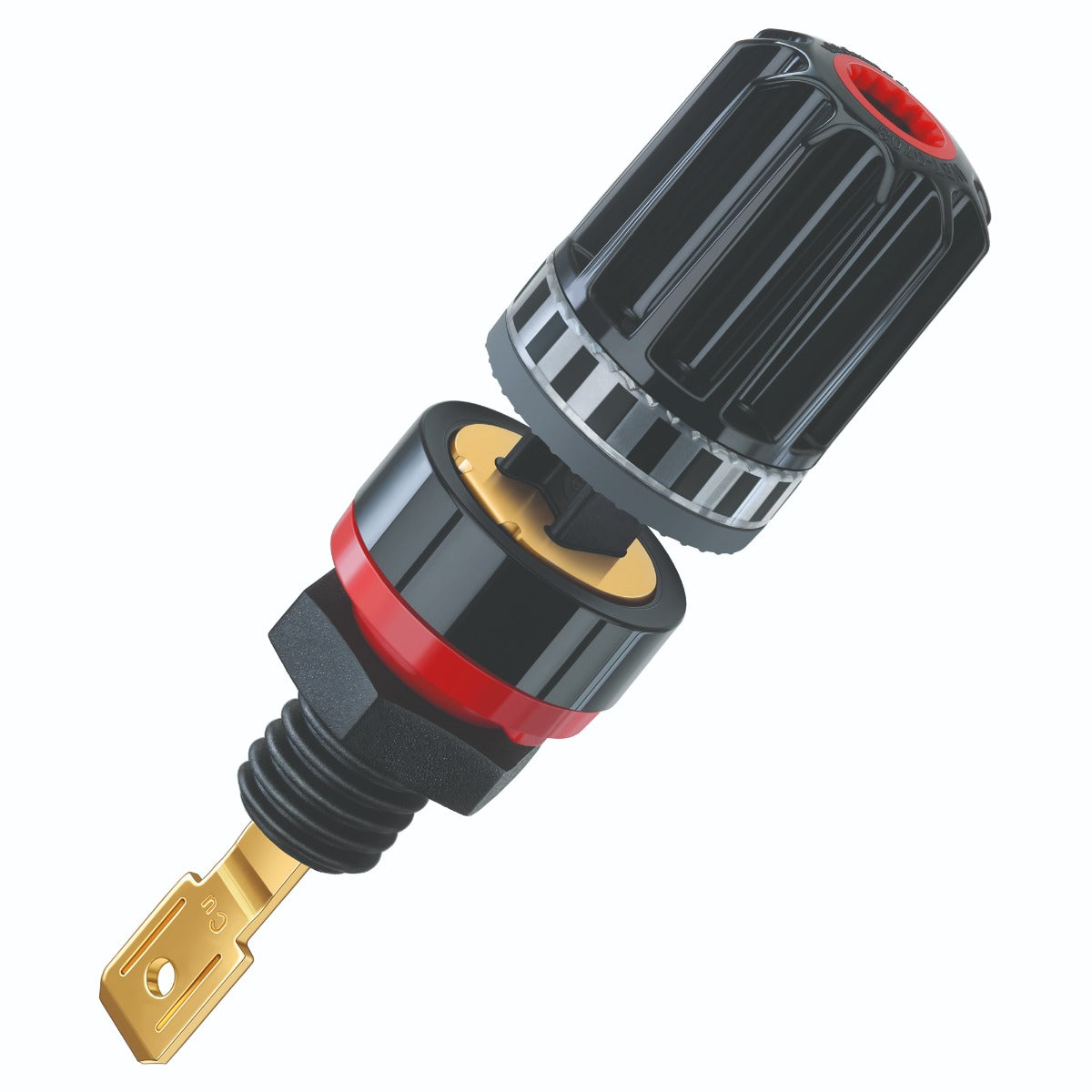 Penaudio Lumi.