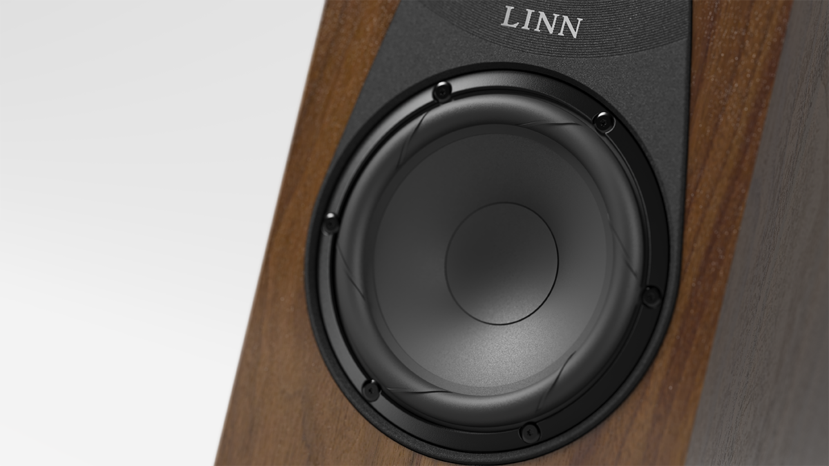 Linn 119