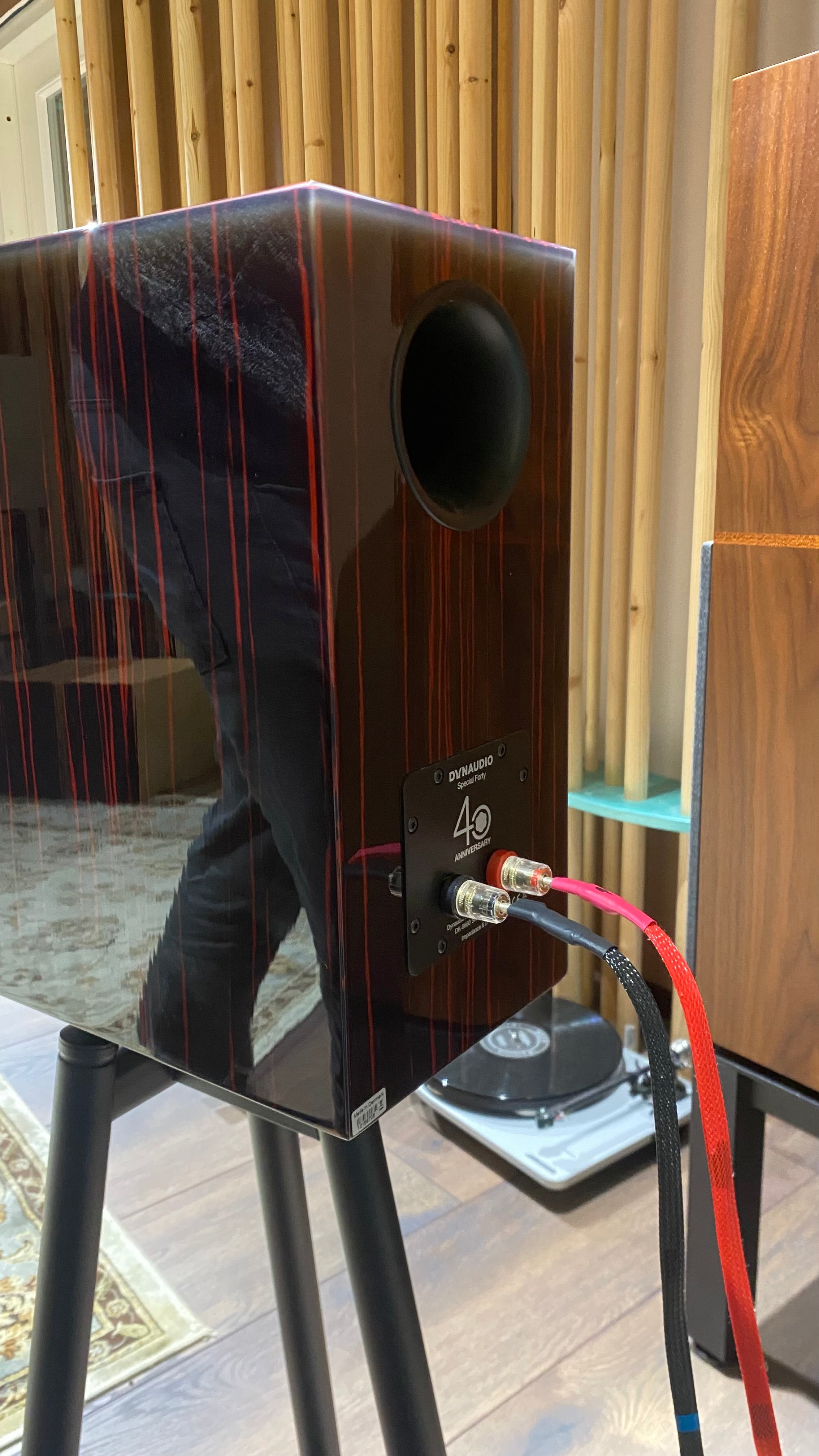 Dynaudio Special Forty